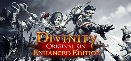 Download Divinity: Original Sin pc game